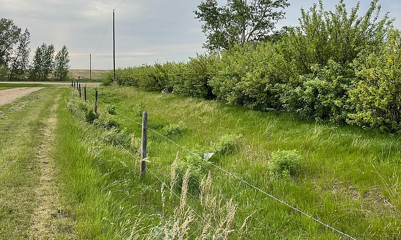 1 Acre Lot...