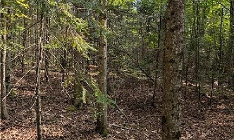  15 Acres Land For S...