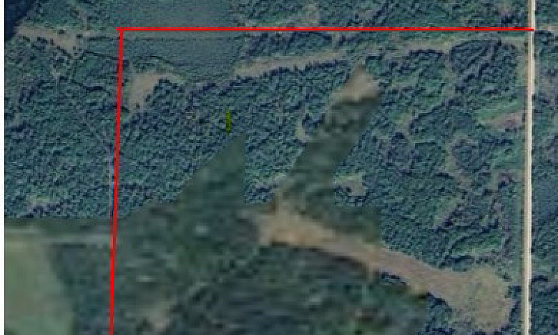 Land For Sale 1/4 Se...