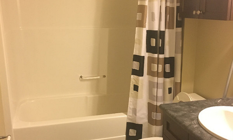 2 Bdrm Bsmt Suite In...