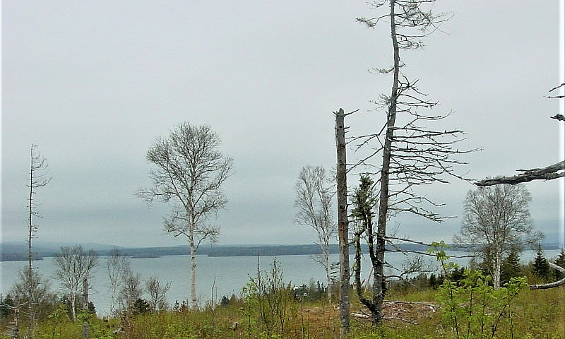 Waterview Land For S...