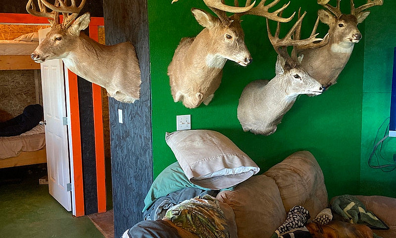 Hunting Lodge & 5 Qu...