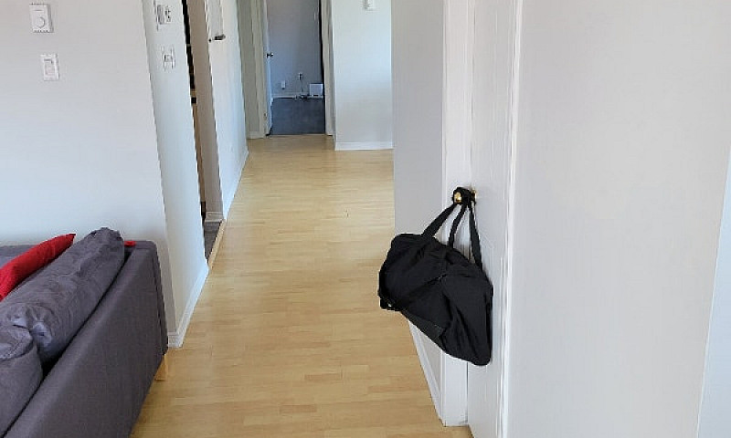 Appartement Sur Le P...