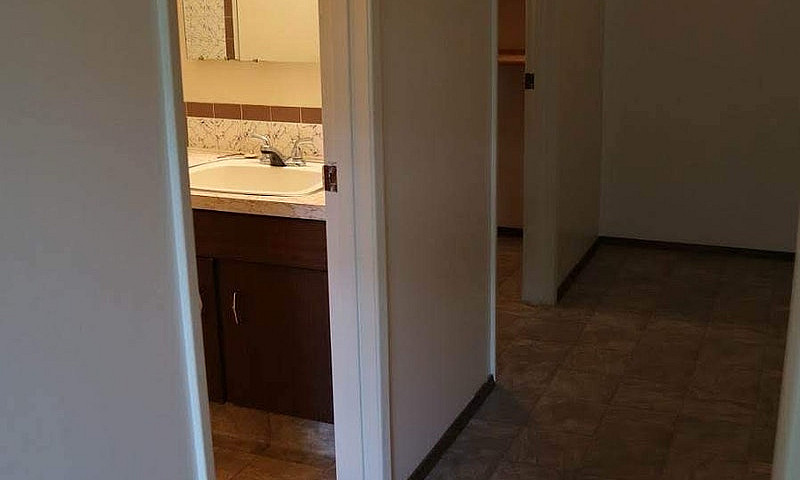 1 Bedroom Apartment ...
