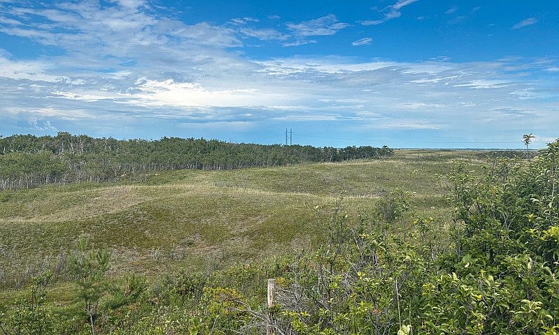 320 Acres Of Untouch...