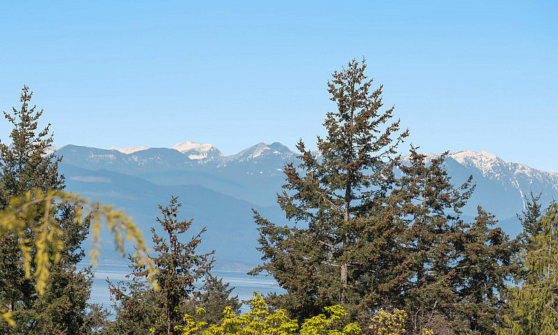 Prime Oceanview Buil...