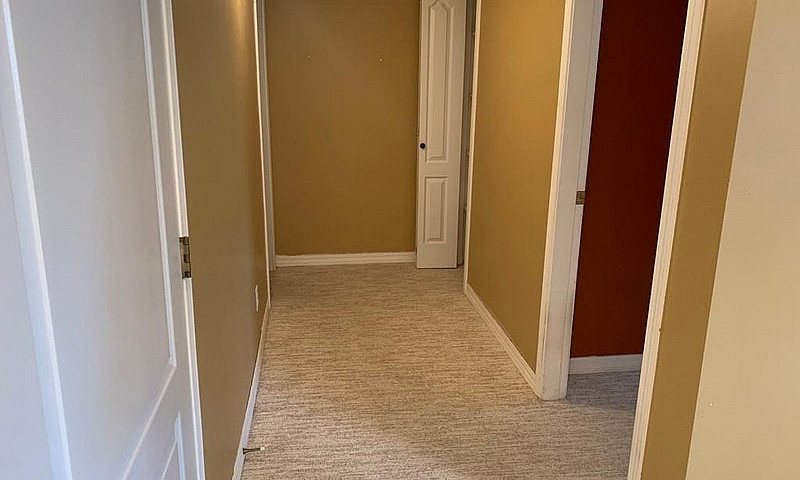 Suite For Rent...