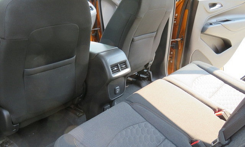 2019 Immaculate Equi...