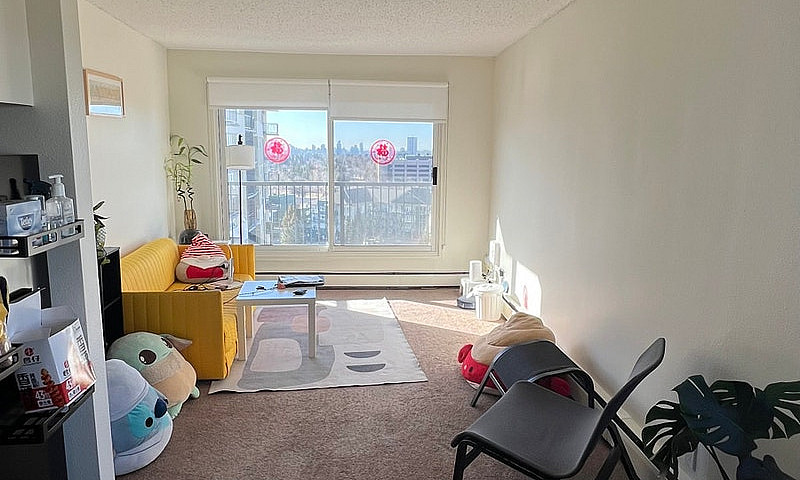 2B1B Unit Near Uofc ...