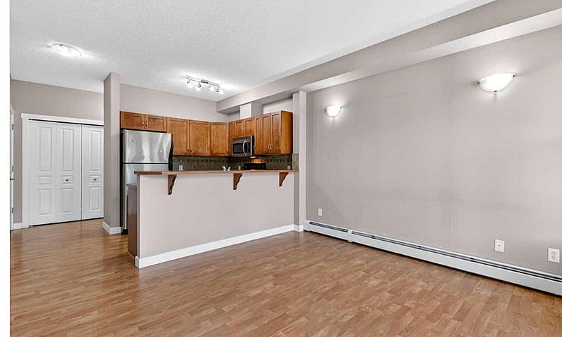 One Bedroom Plus Lar...