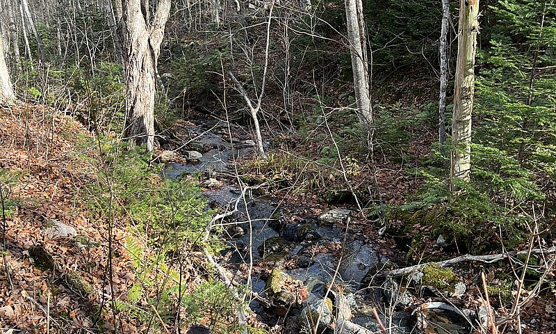 25 Acres Of Land In ...