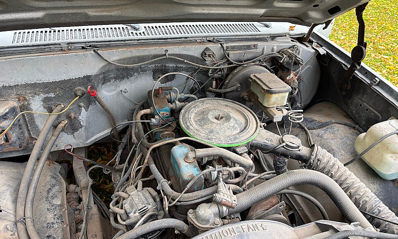 1981 C10...