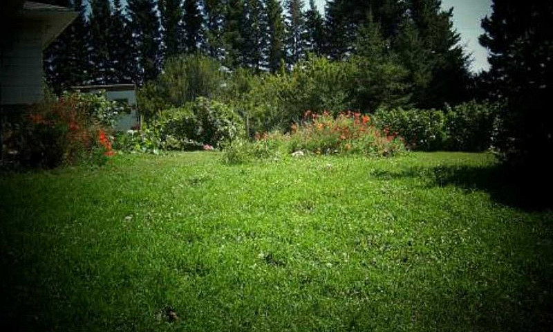 400 Acres Of Land Fo...