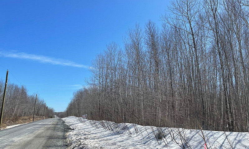 2 & 3 Acre Lots In R...