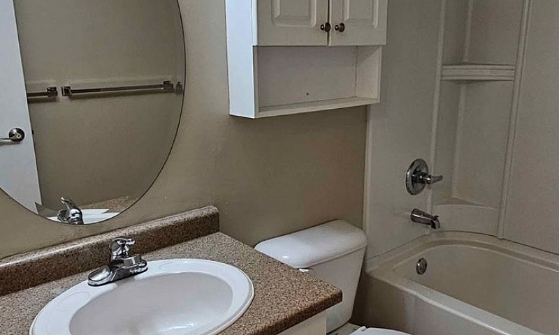 One Bed One Bath Apa...