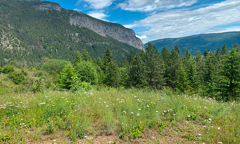 19 Acres Waterfront ...