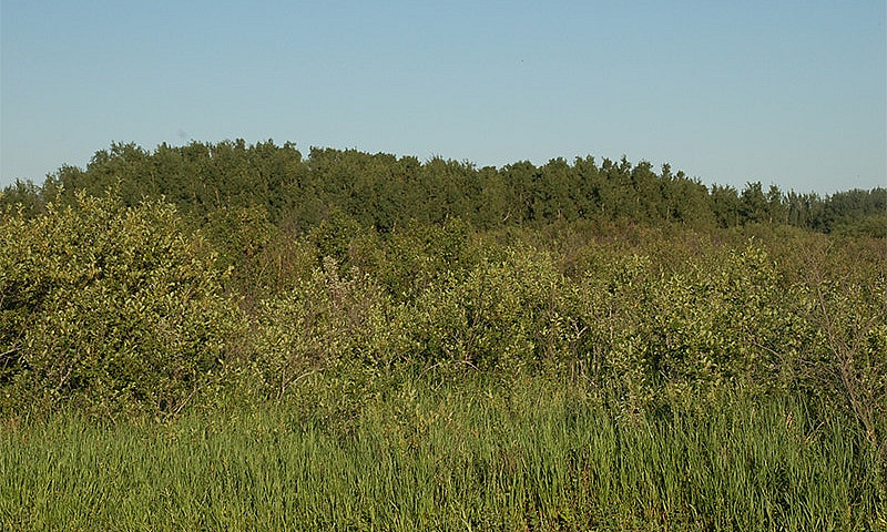 Bluebird Way Rural R...