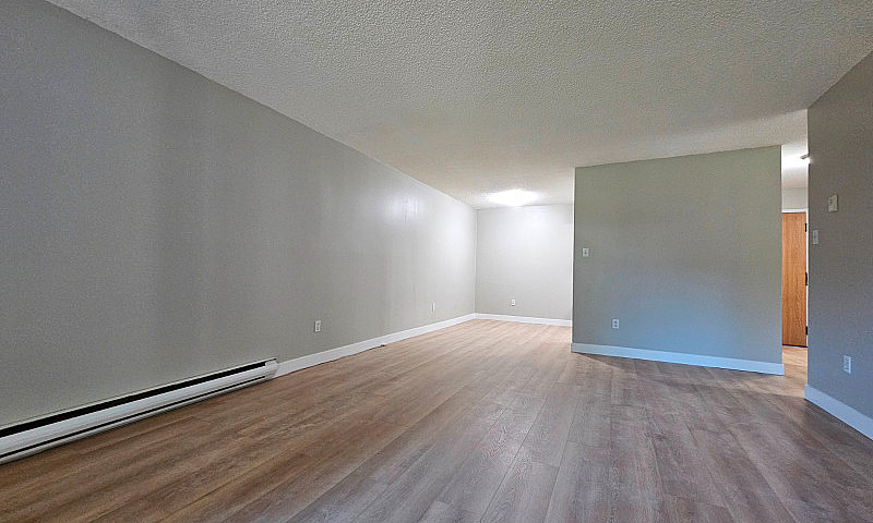 Large Renovated One ...