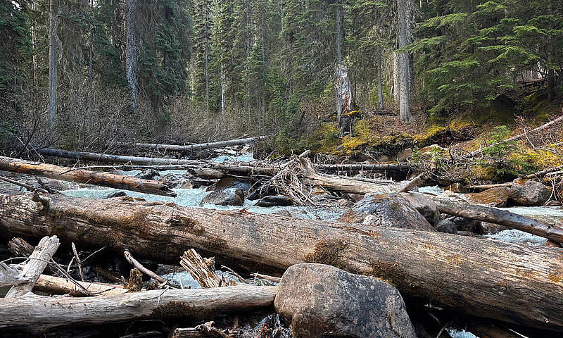 Quartz Creek Placer ...