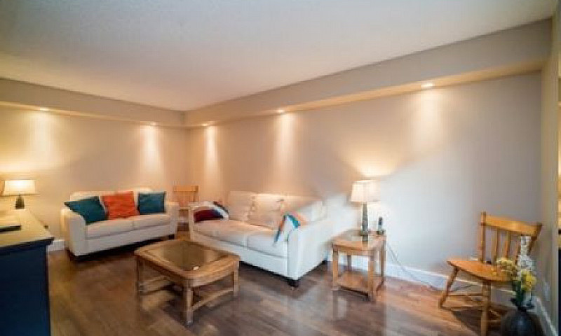 One Bedroom Condo Fo...