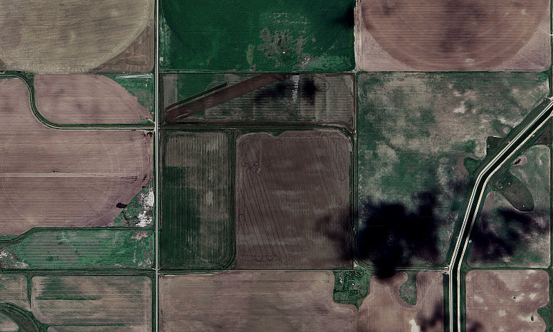 Irrigated Grain Quar...