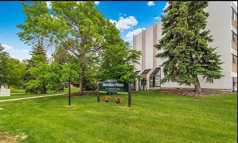 Spacious 1-Bedroom C...