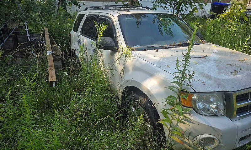 Ford Escape...