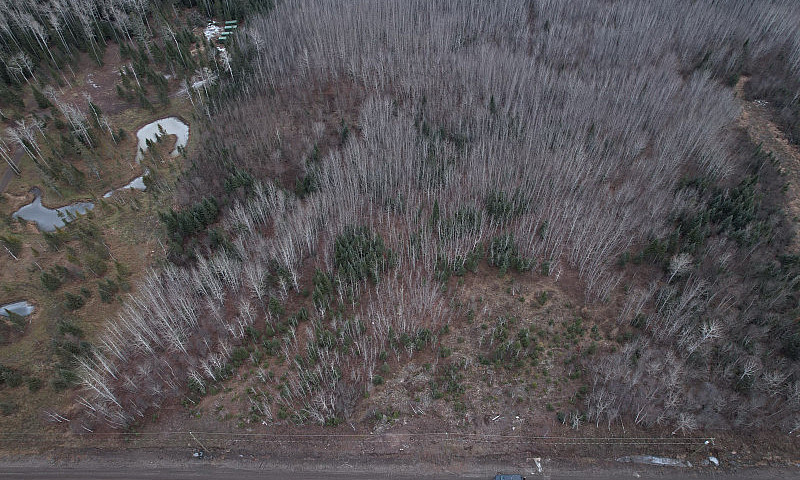 For Sale: 7.4 Acre V...
