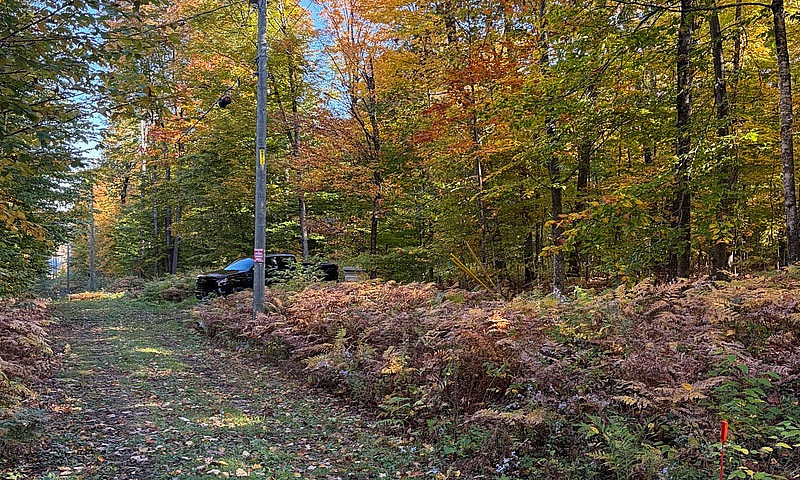 Terrain De 6 Acres A...