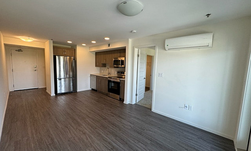 **1Bed 1Bath Apartme...