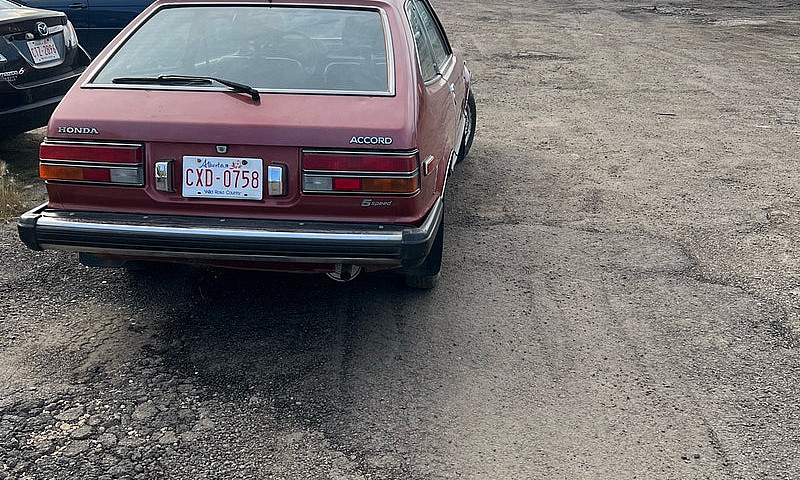 1981 Honda Accord ...