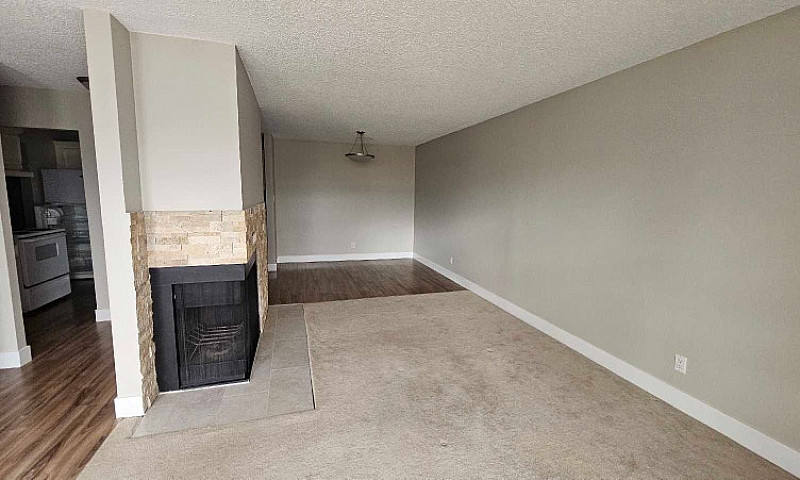 3 Bedroom Apartment ...