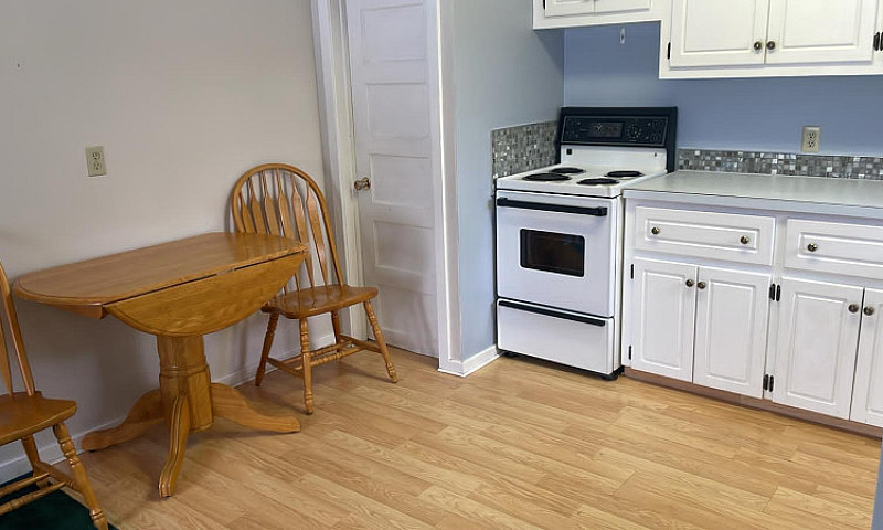 Clean & Cozy Suite F...