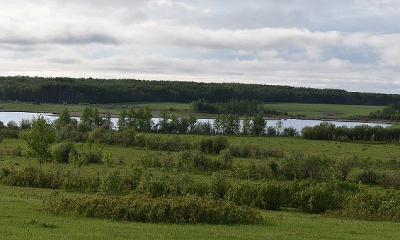 Recreational Land In...