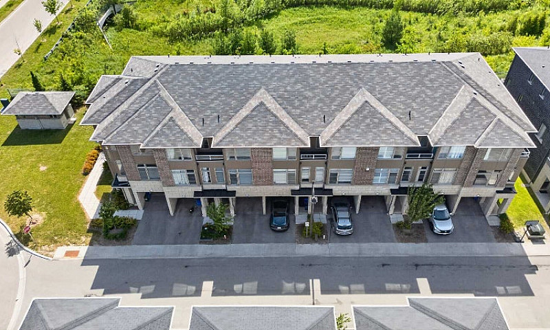 Renovated 4-Bed, 2.5...