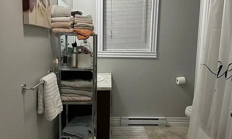 Cozy & Spacious 1-Be...