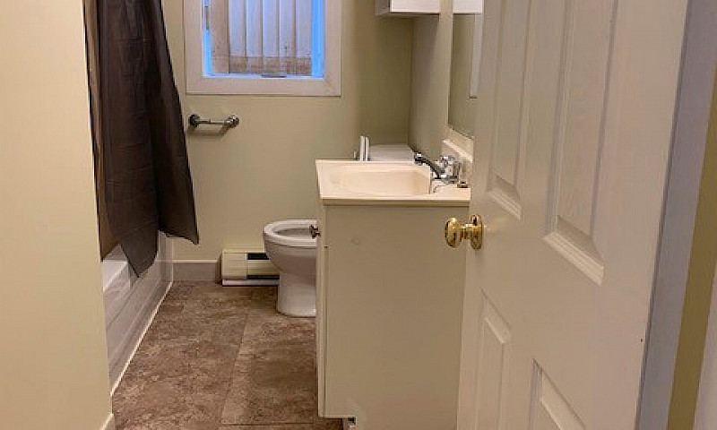 1 Bedroom Apt—— Osbo...