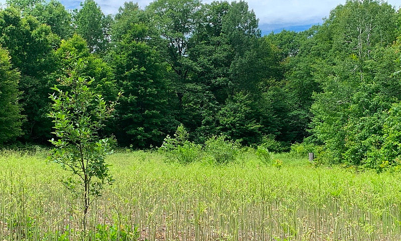 44 Acres On St Josep...