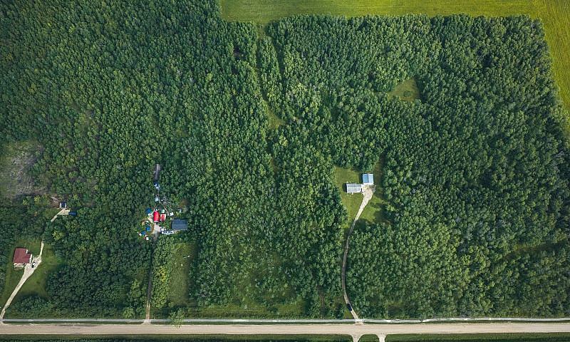 6.45 Acre Treed Lot...