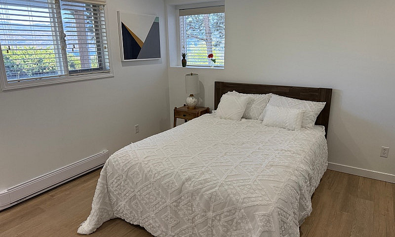 1 Bedroom Apartment ...