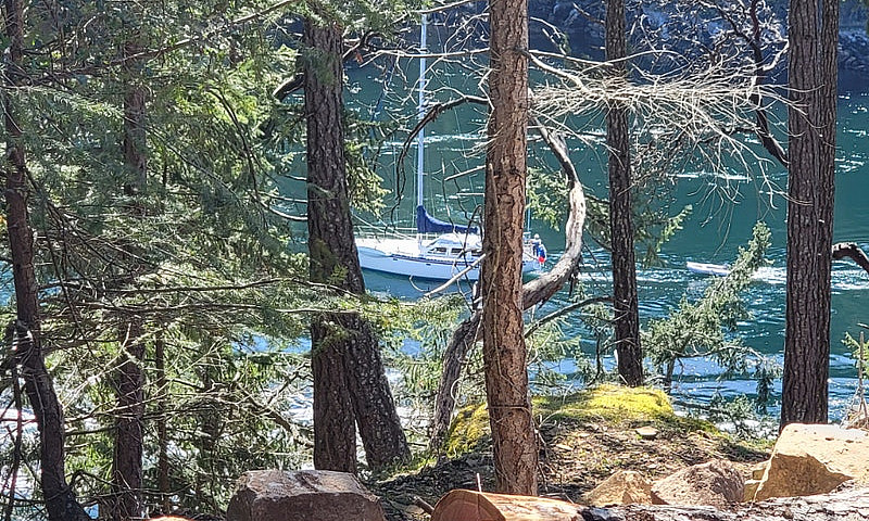 Waterfront Property ...