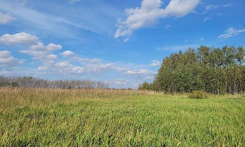 10 Acres Of Undevelo...