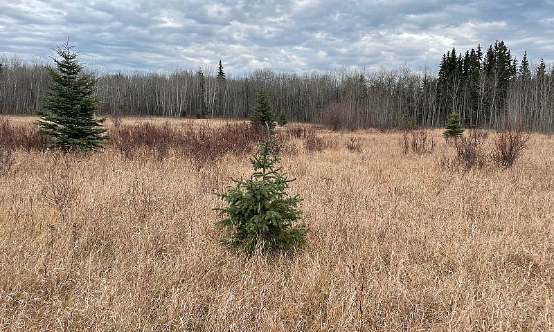 Land For Sale...