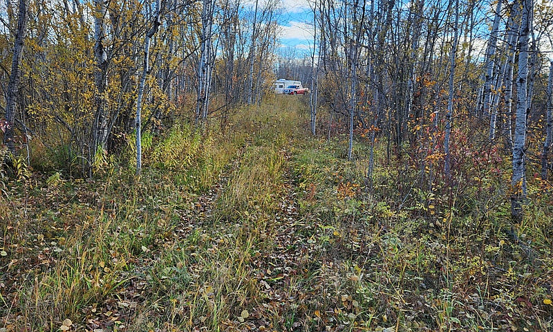 156 Acres For Sale...