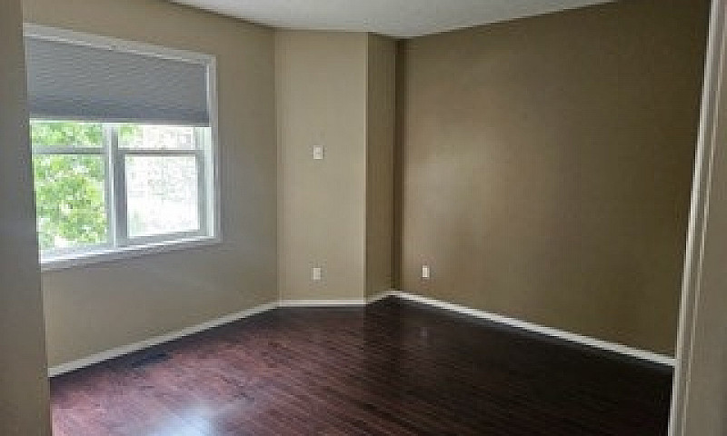 Condo U Of A Edmonto...