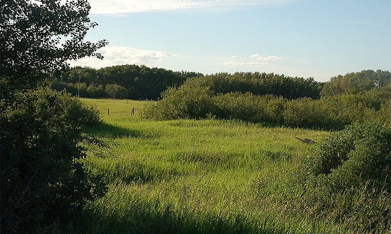 Bluebird Way Rural R...