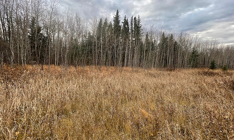 Land For Sale...