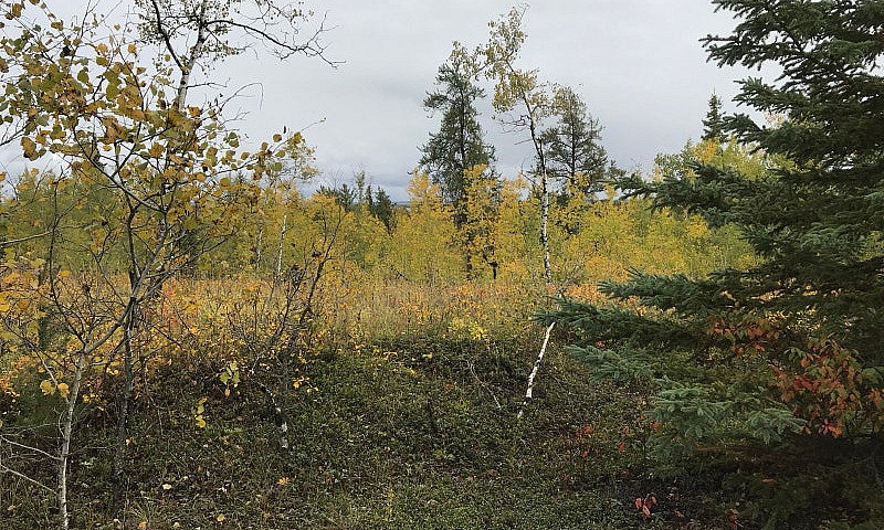 Versatile Land For S...