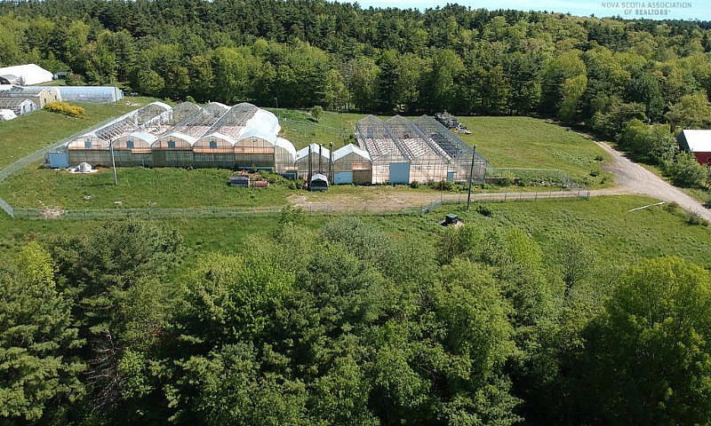 4.6 Acres With Comme...