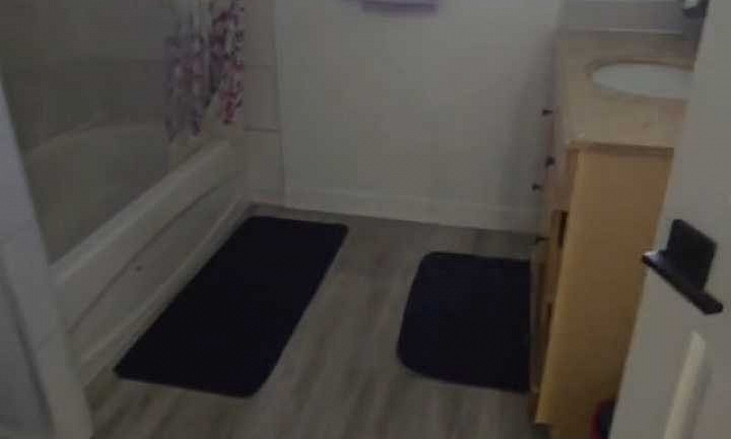 2 Bedroom Basement F...
